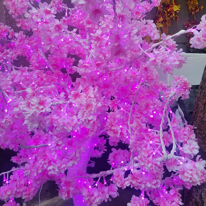 🦋ꦿ໊余生᭄🕊随心᭄ꦿᩚ٭