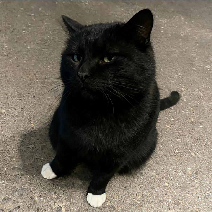 去码头搞杯霸王桶的柠檬茶