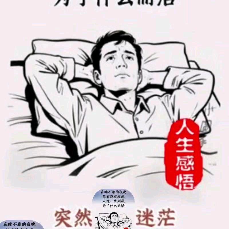 不吃鱼的小猫