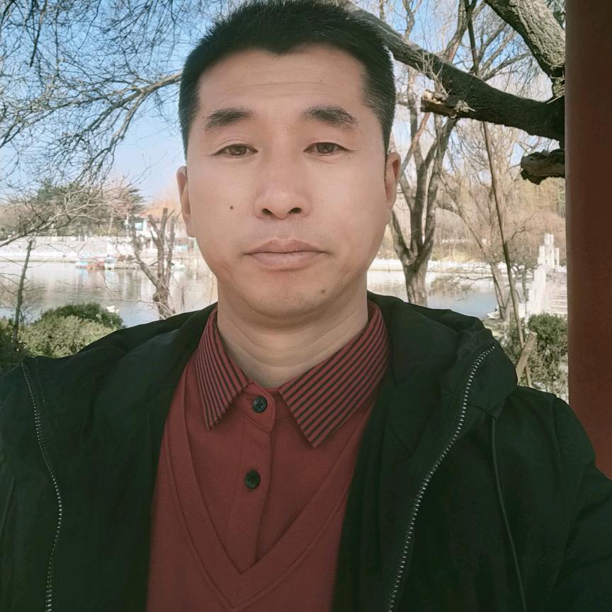 游泳的鱼50313