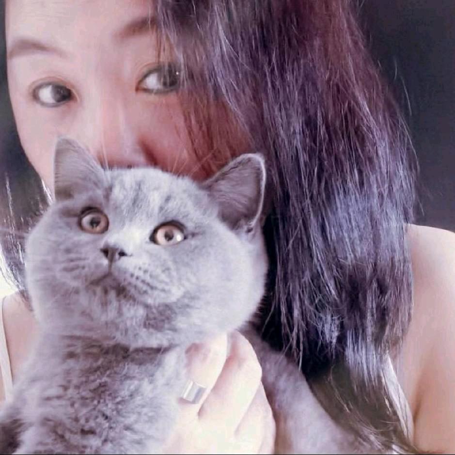 小强🐱