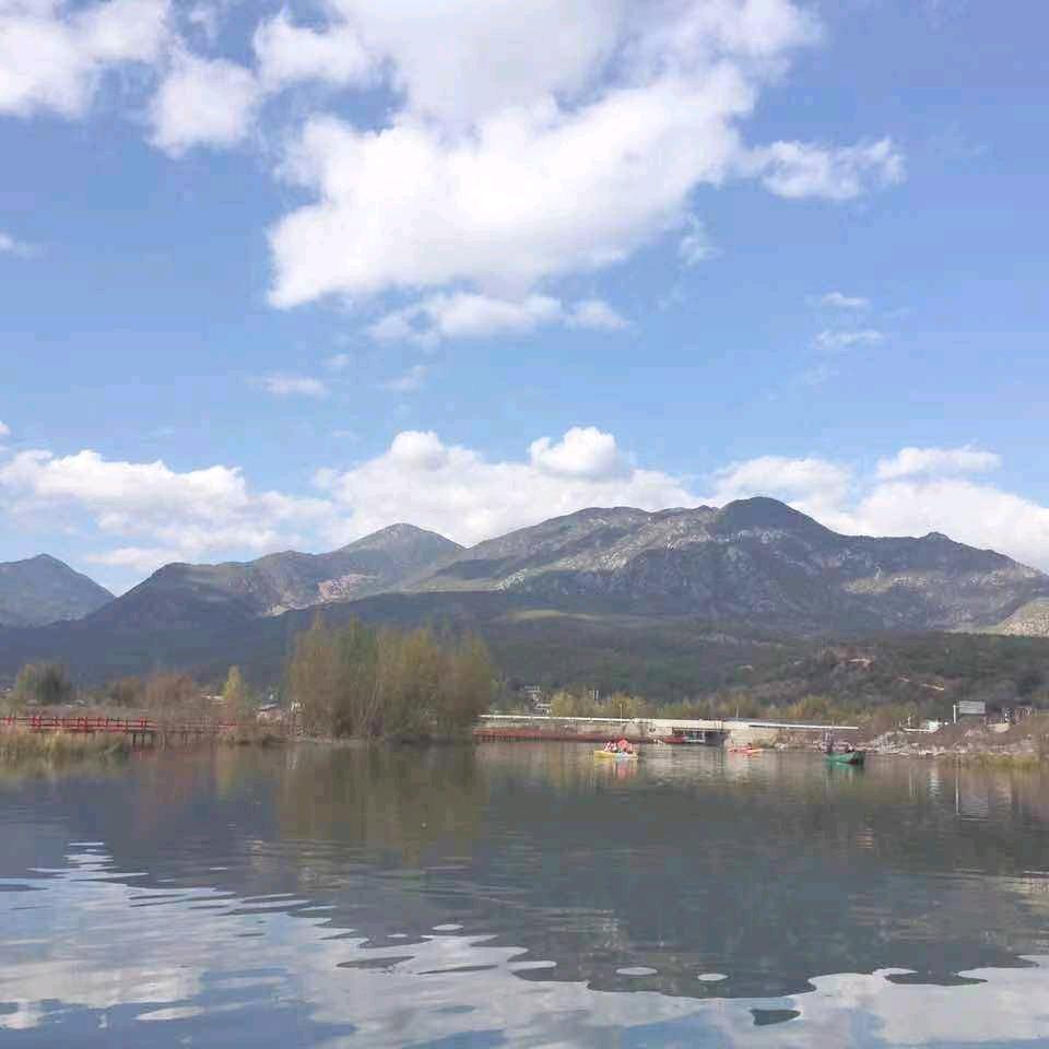 申伟东