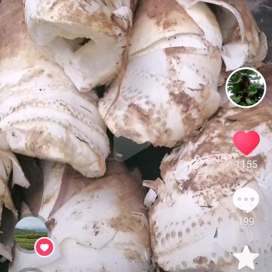 徐一刀*强哥