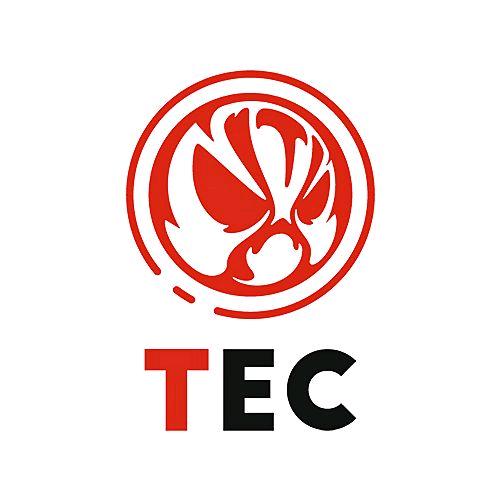 湖南TEC体坛和平精英分部