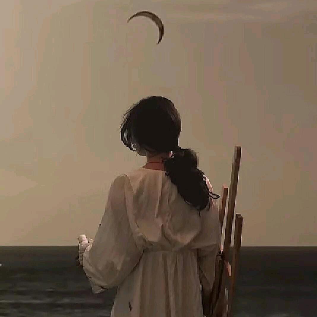 晚风吹行舟m.