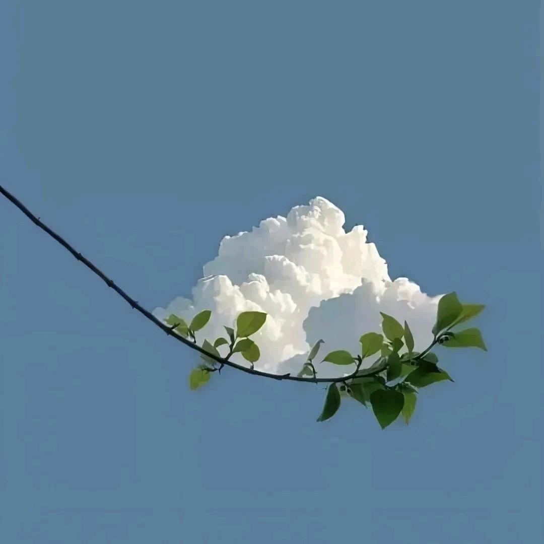 雾灯