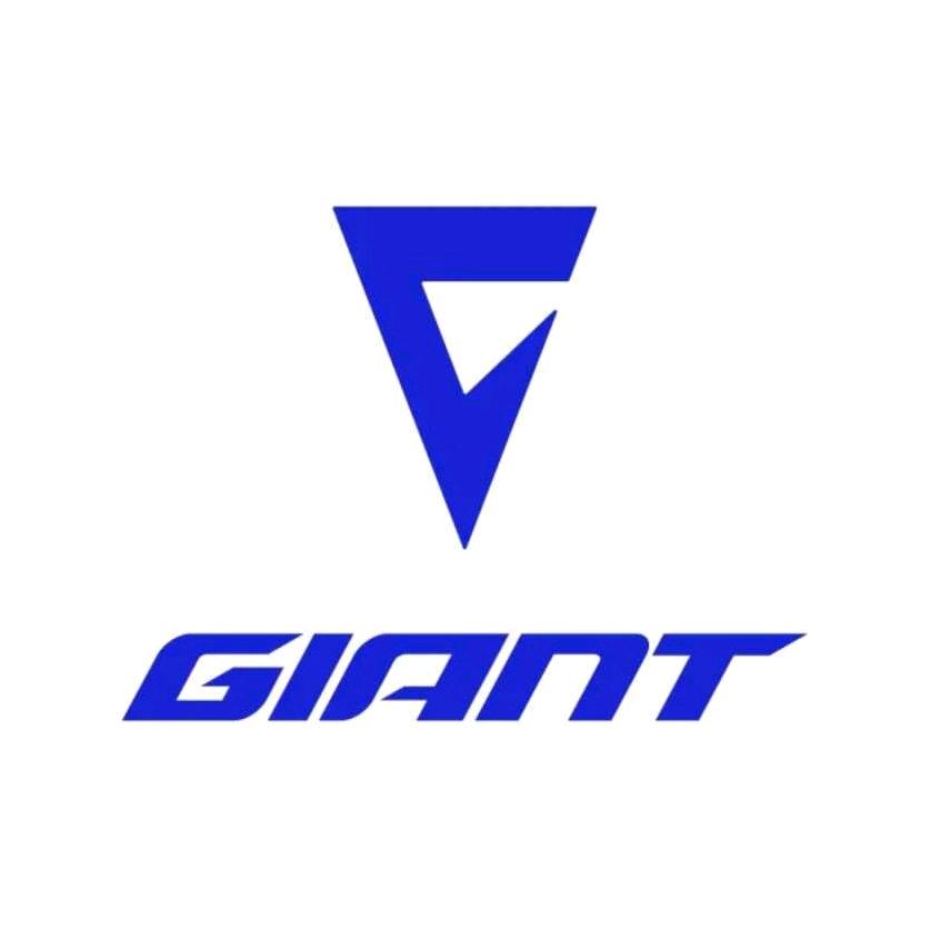 捷安特(保利广场店)