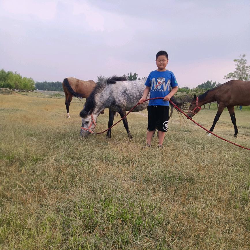 西华贾鲁河自由骑马