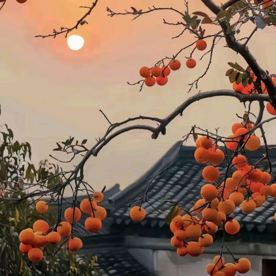 珍惜！🌹🌹🌹