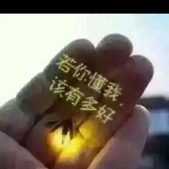 ༺不会ꦾ说谎🥀的້໌ᮨ泪ꦿ҉࿐