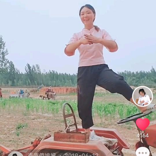 李家傻媳妇
