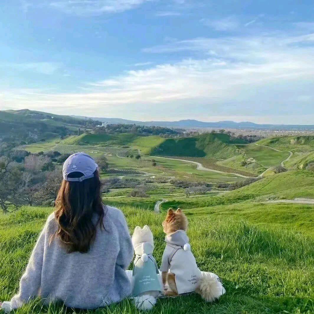 🌾🌸⭐❤