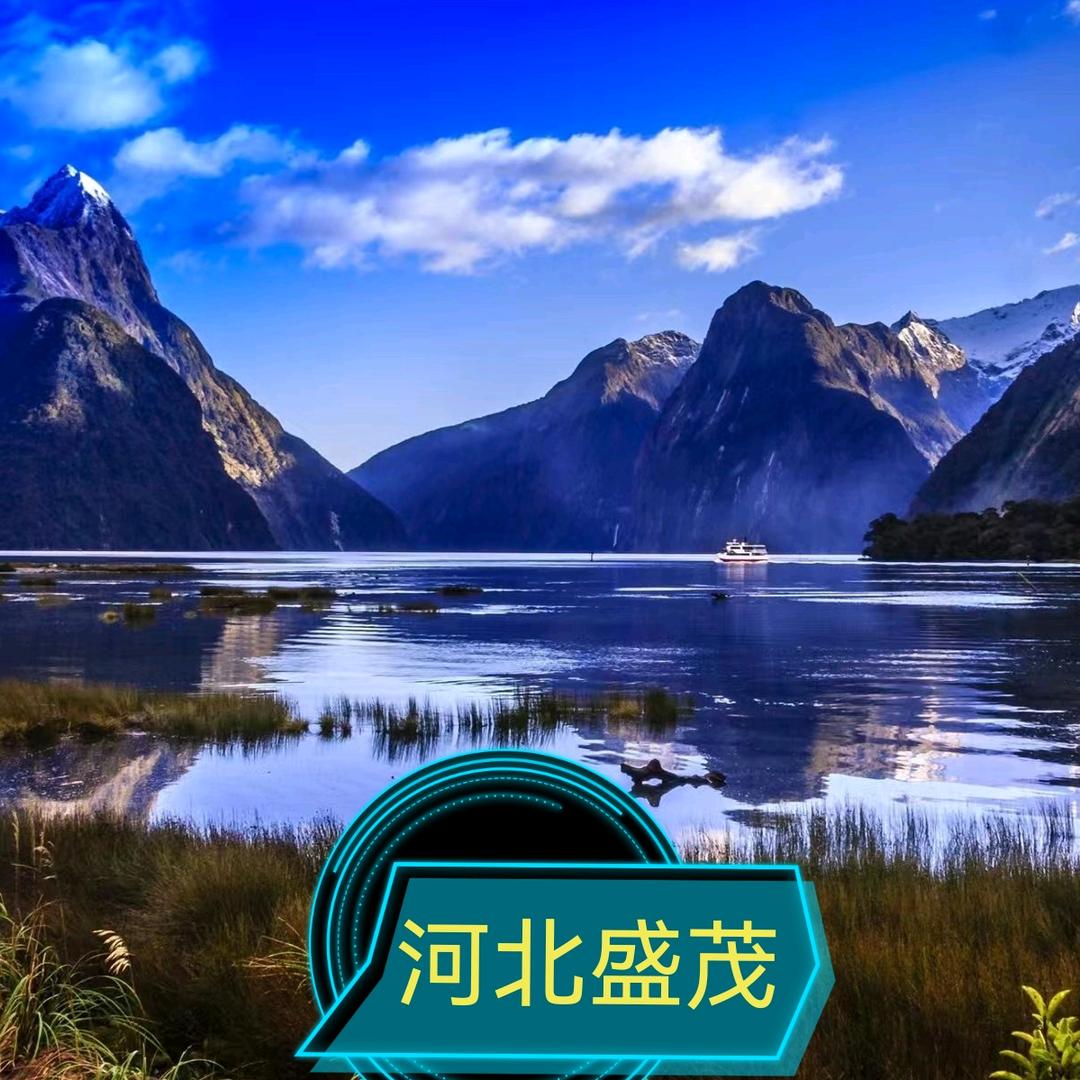 煤矿液压支架乳化油-浓缩液，河北盛茂