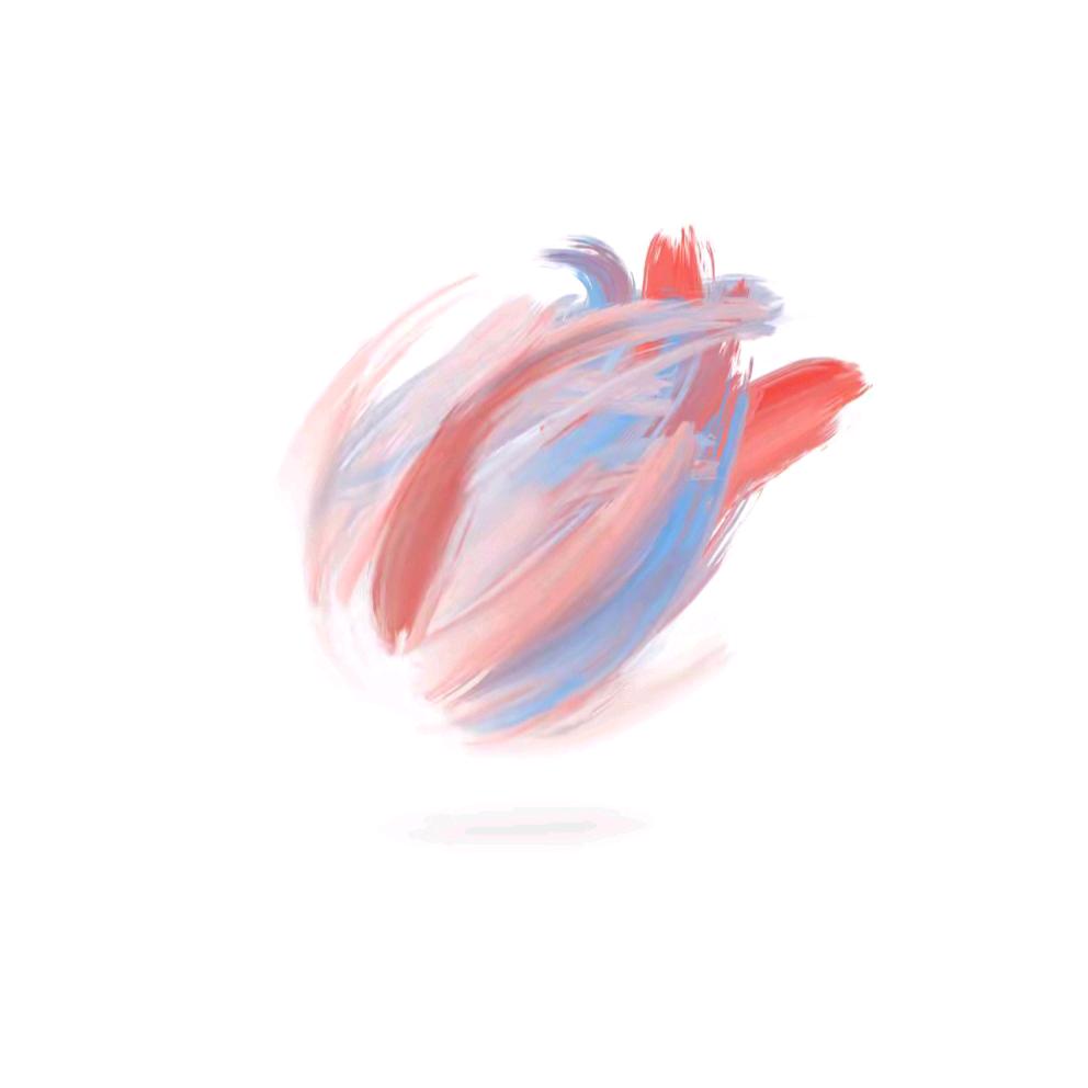 臻优假发  关注我发财版