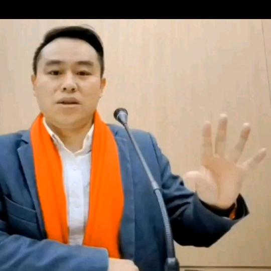杨懂