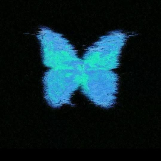 帝造🦋完美