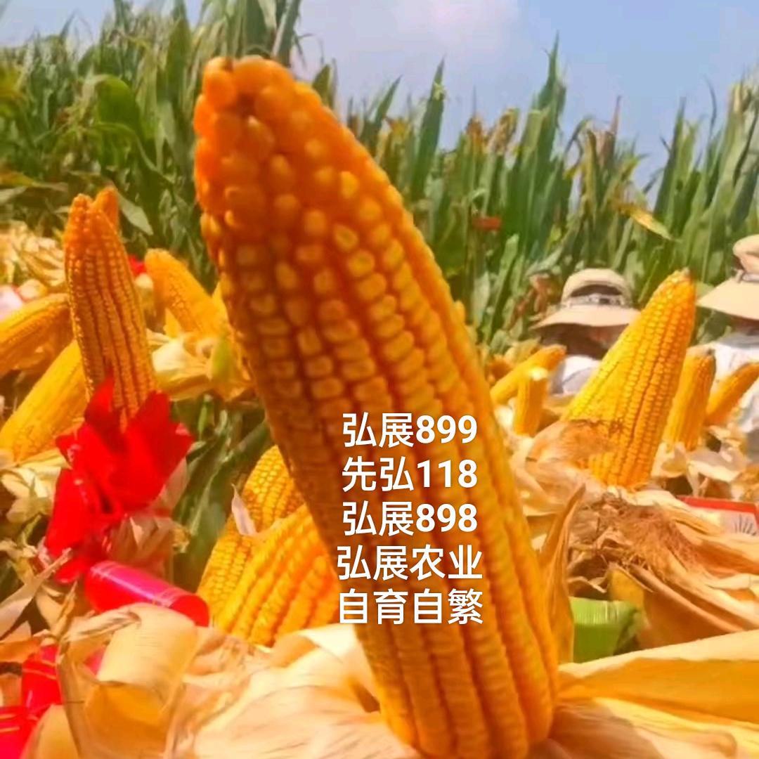 弘展农业