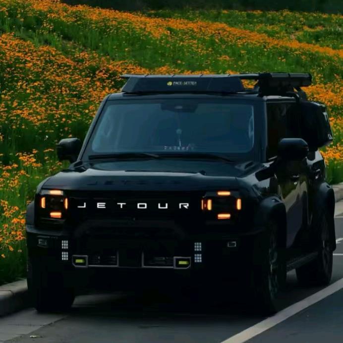 大连鸿升捷途-小金