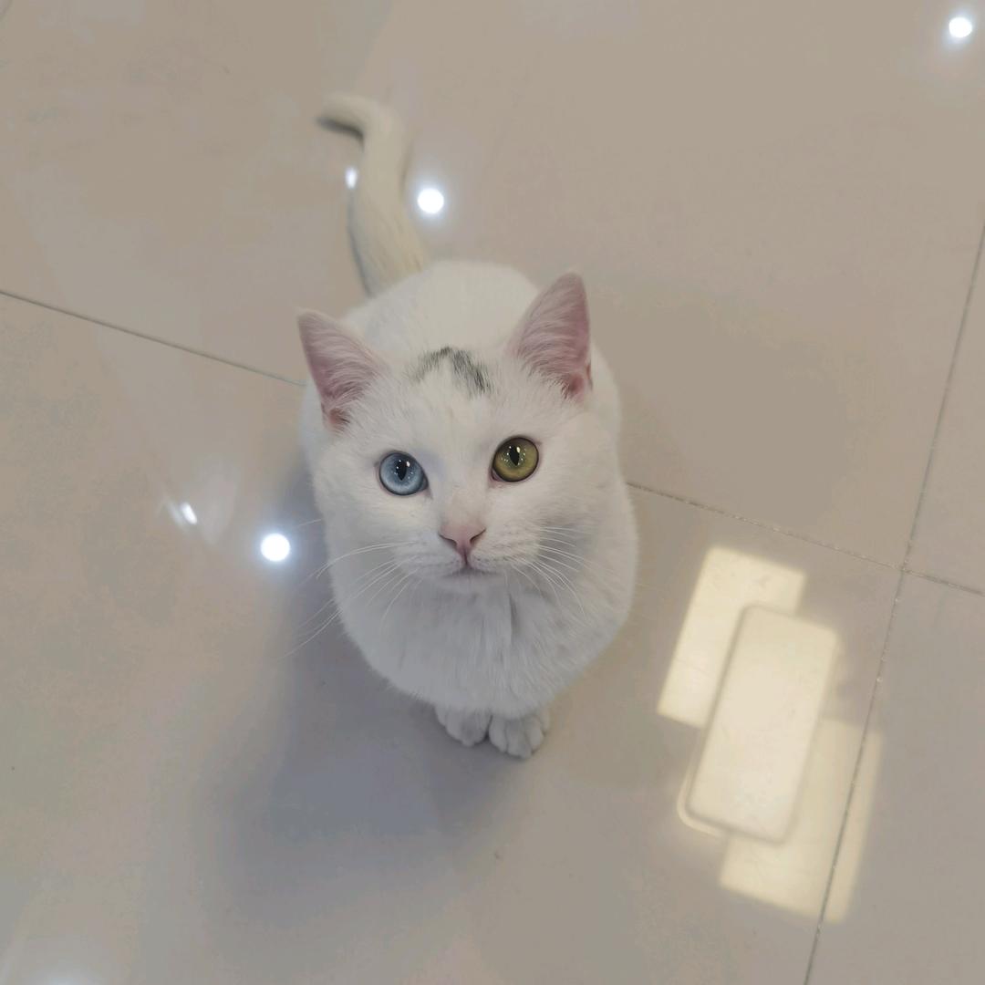 吃小孩蘸酱