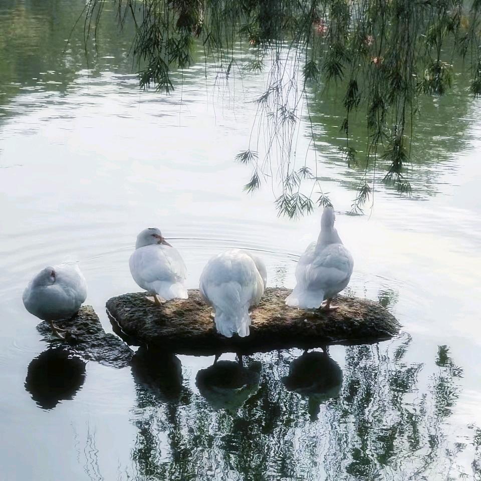 Heart transformatio✰