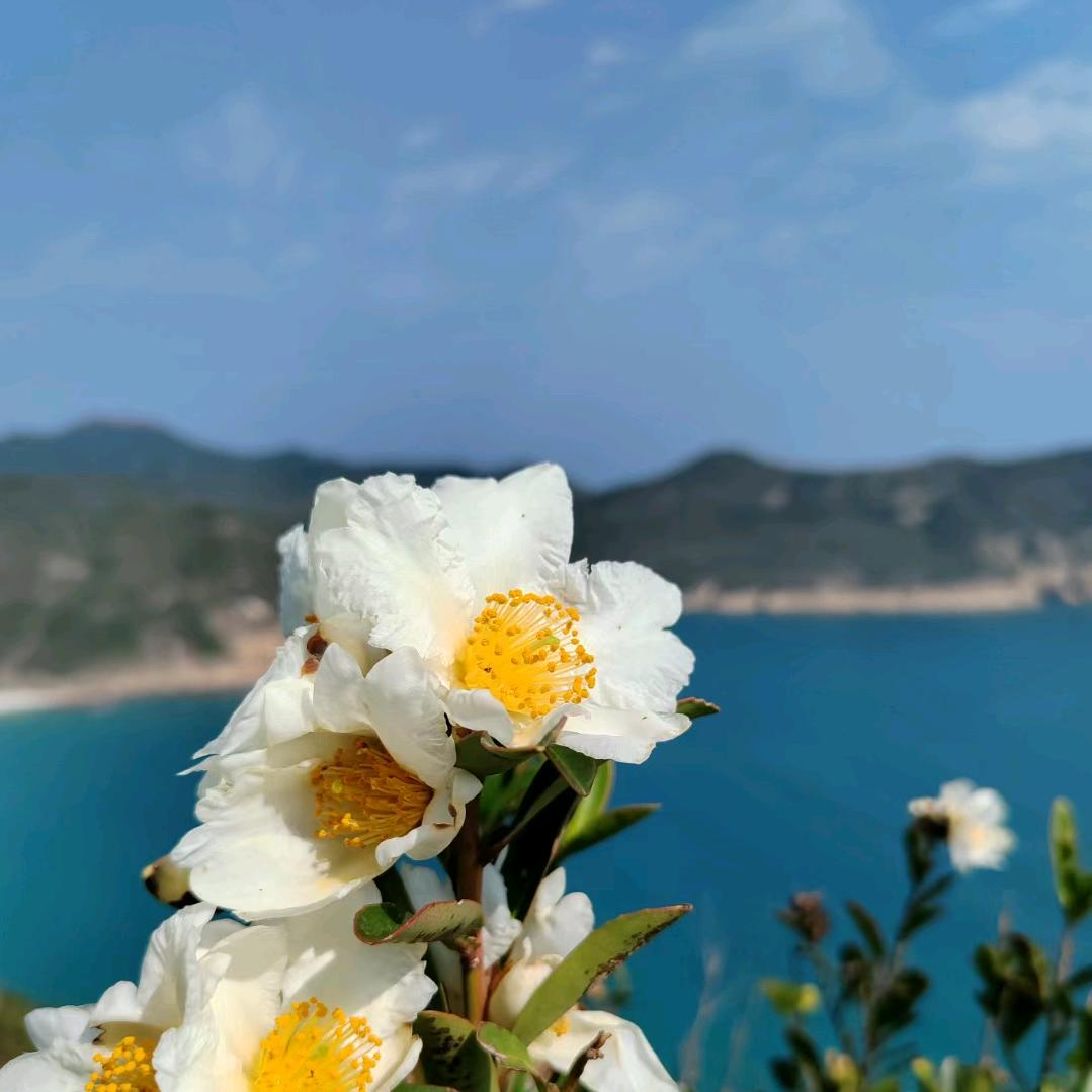 闲娘不输德（努力涨粉中）