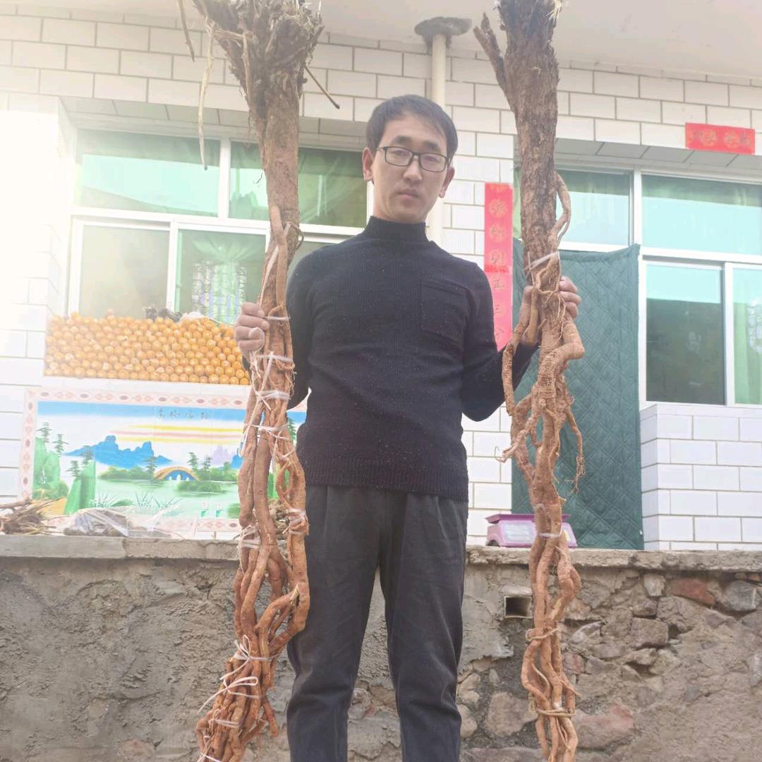 小石百草山珍