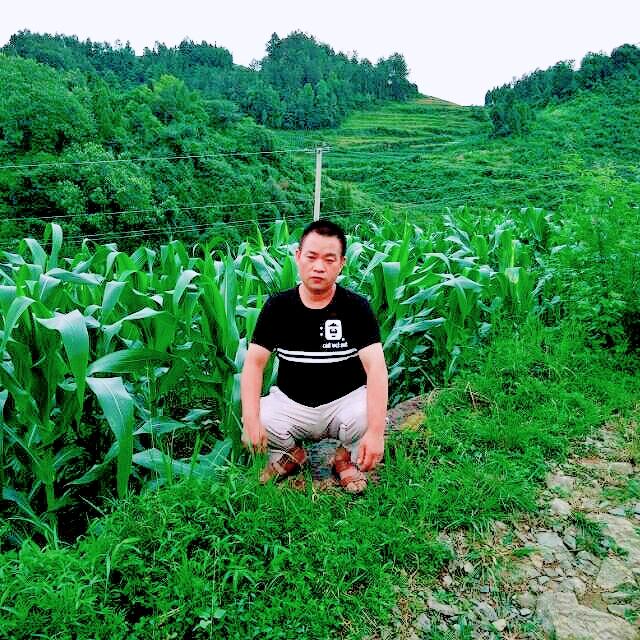 农村小哥