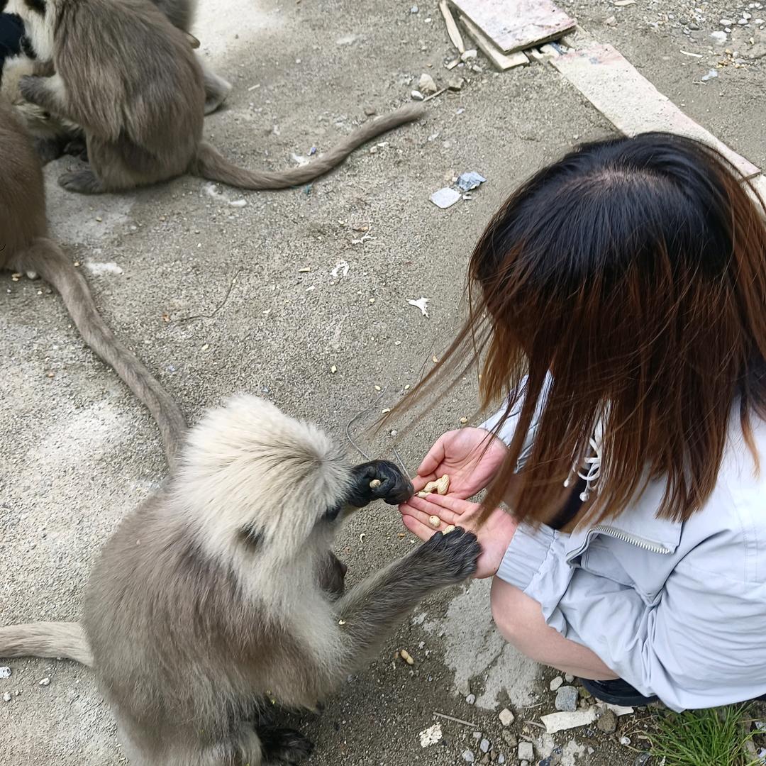 小妮子🤗