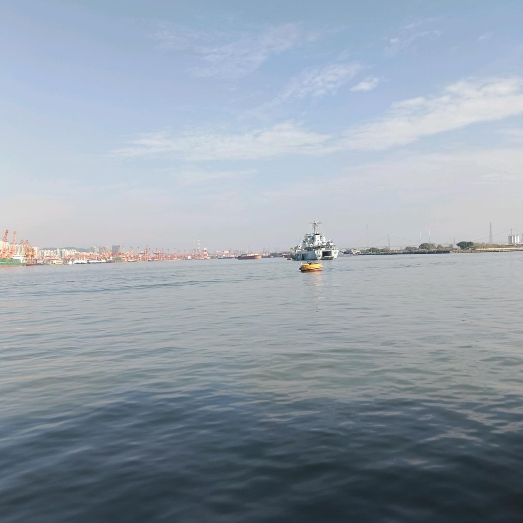海东青