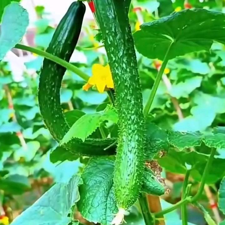 人一生