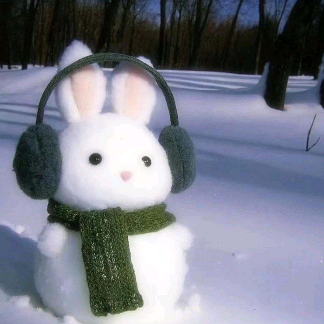 是亓官官呐₍ᐢ..ᐢ₎ᐝ