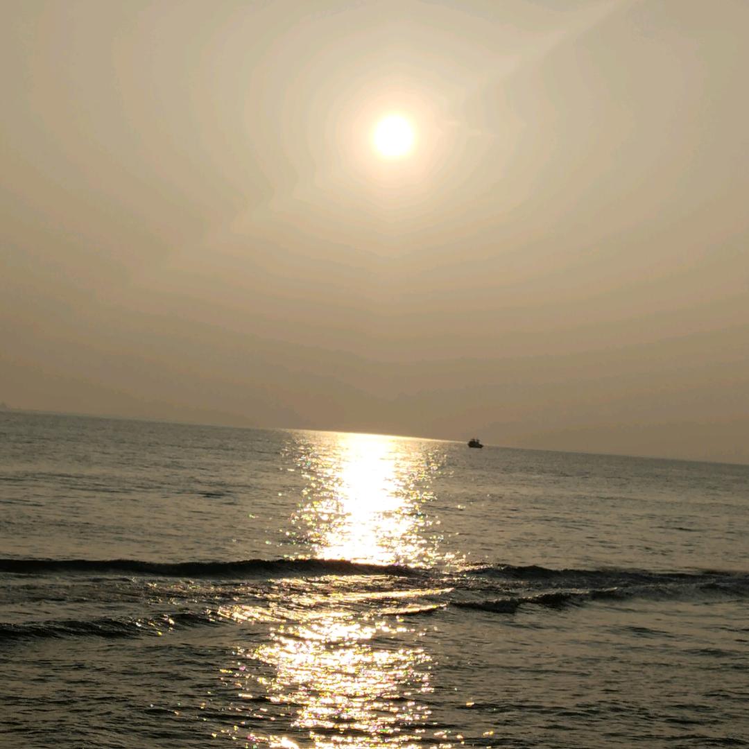 小杨雷