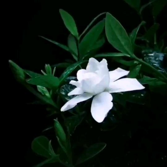 心随我动