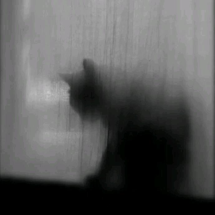 缺月挂疏桐.
