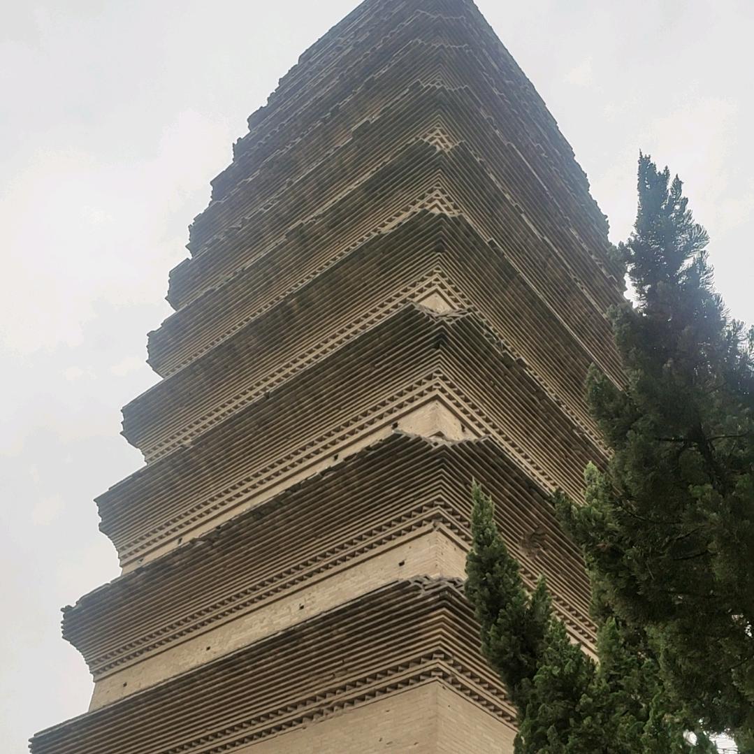 上海老李