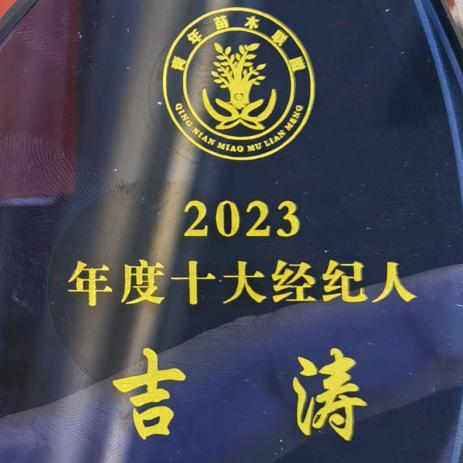 河南龙婷苗木有限公司