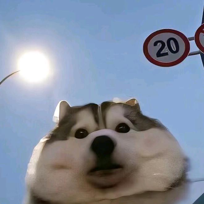过.