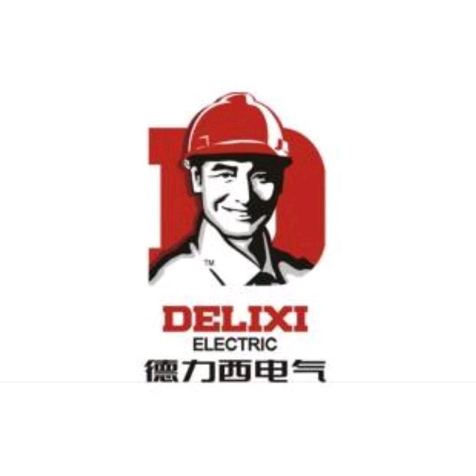 德力西电气8