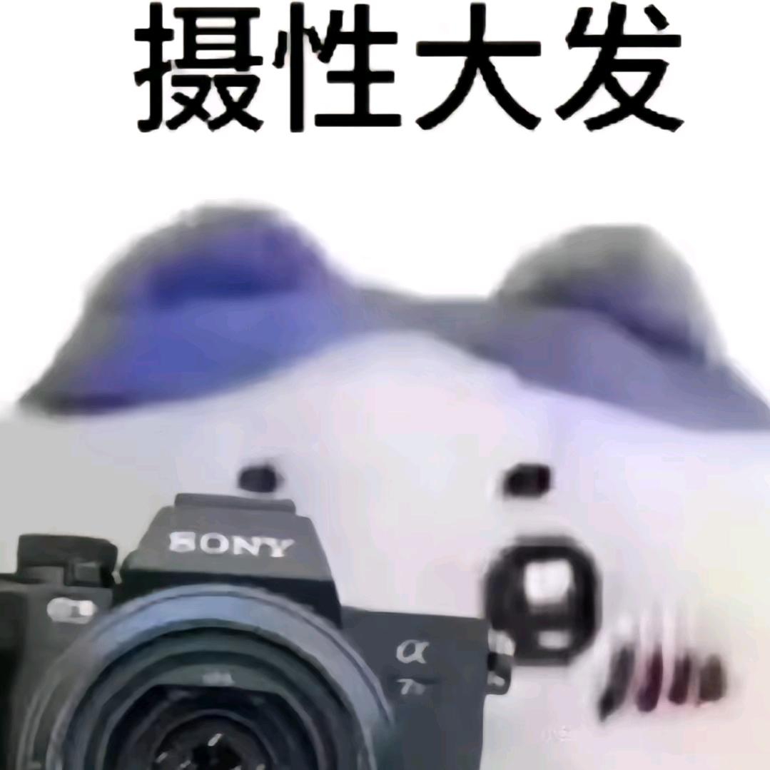 摄绘人📷