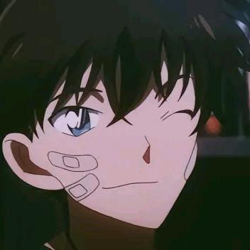 什么版本