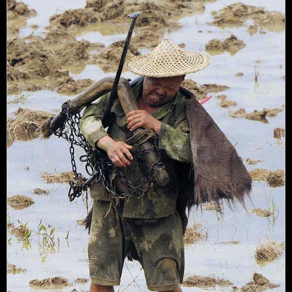 湘上农人