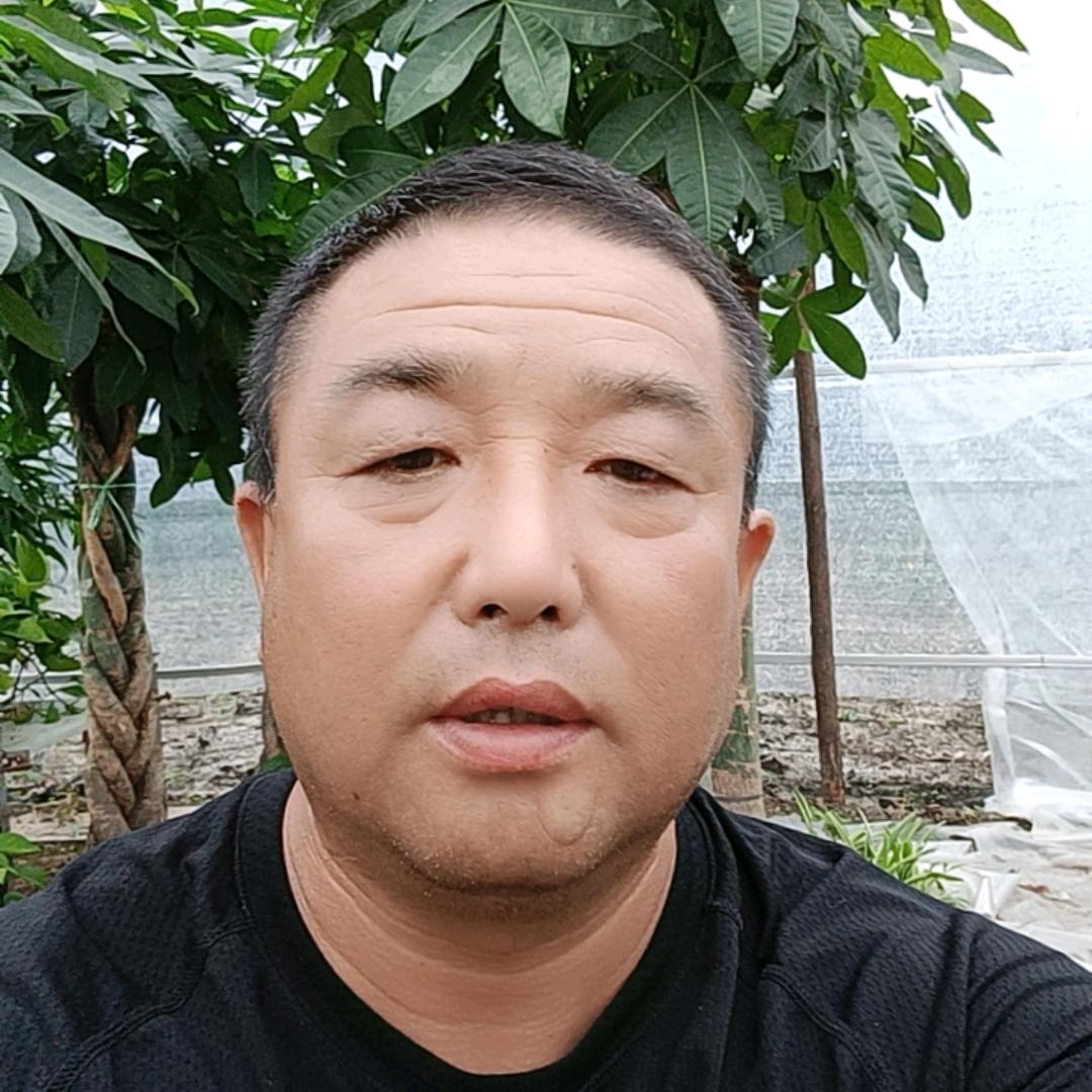 花仙