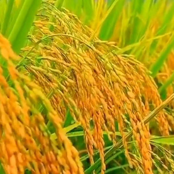 天涯追梦