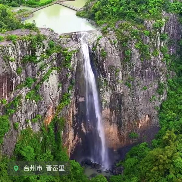 勤劳的小蜜蜂（晋岙里雪山寺入口）