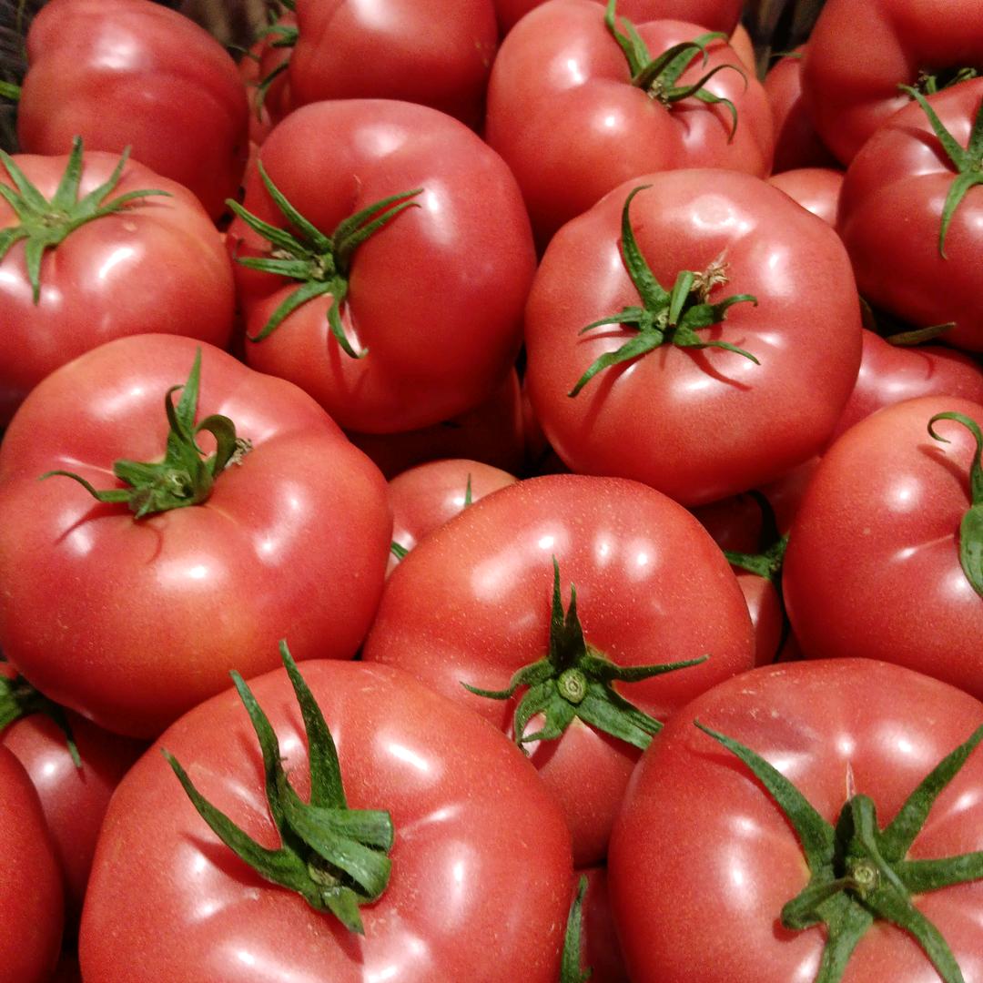 鲜购果蔬经营部