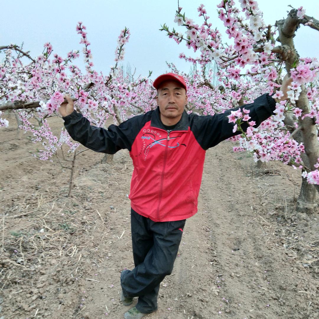 快乐的我高亚朋