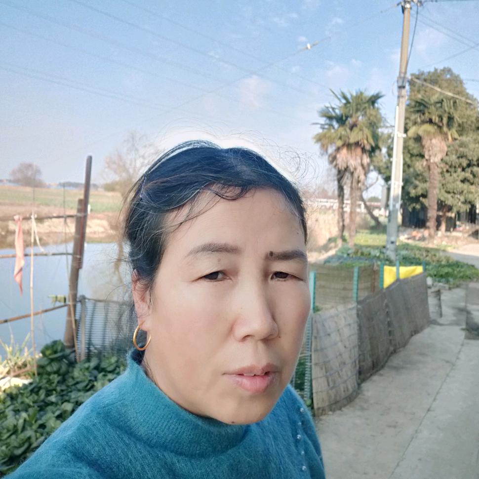 杨飞👌
