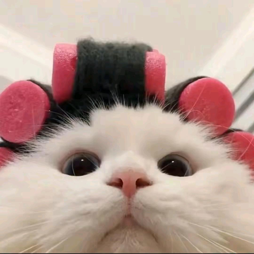 粥子哥