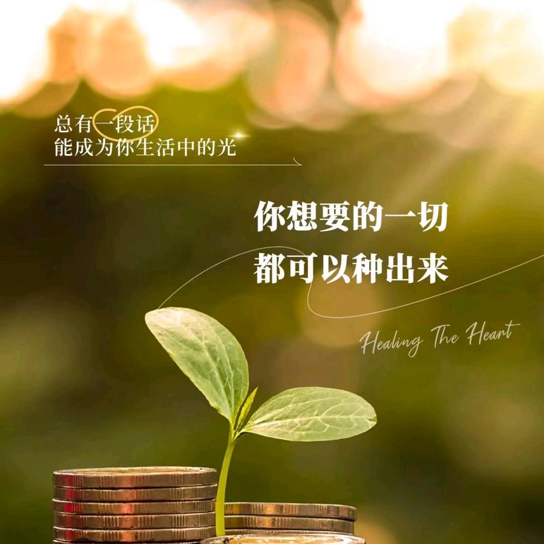 ✨✨幸运优✨✨