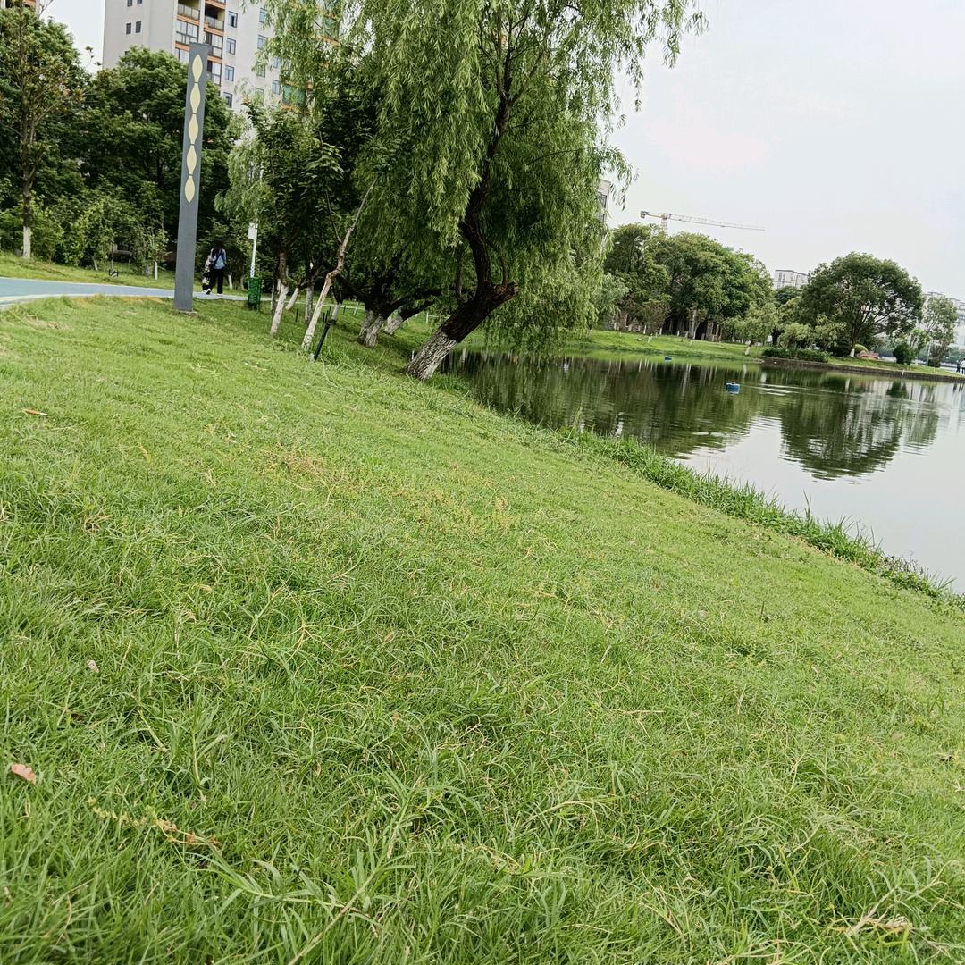 A人在旅途